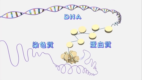內容項目 哪裏可以找到DNA？(中文字幕可供選擇) 的縮圖