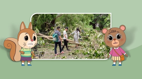 Thumbnail for Learning and Teaching Series on &quot;Geography of China&quot; (Upper Primary): Natural Hazards and Mitigation Measures I: Typhoon, Flood and Drought (English subtitles available)