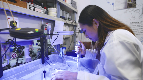 Thumbnail for 我們都是理科生@珊瑚保育研究 (中、英文字幕可供選擇)