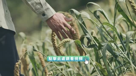 Thumbnail for 《尋古中國》玉石記‧沃土之上（下）（粵語）