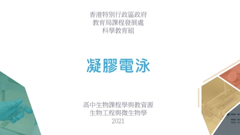 Thumbnail for 凝膠電泳 (配以中文字幕)