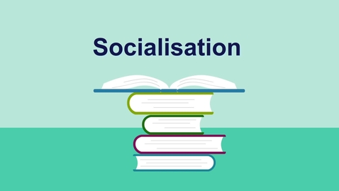 Thumbnail for Socialisation (English subtitles available)