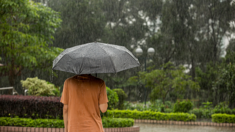 Thumbnail for 雨水