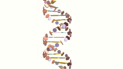 Thumbnail for DNA 3D模型