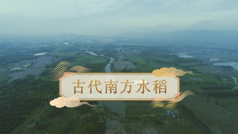 Thumbnail for 【史前至夏商周】古代南方水稻 (教師增益資源)(配以中文字幕)