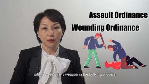 Thumbnail for The legal consequences of bullying (English subtitles available)