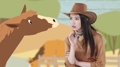 Thumbnail for SOWIT Video: Never Look a Gift Horse in the Mouth (English subtitles available)