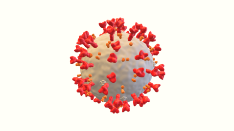 Thumbnail for 冠狀病毒3D模型