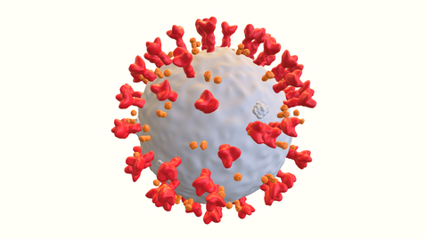 Thumbnail for 冠狀病毒3D模型