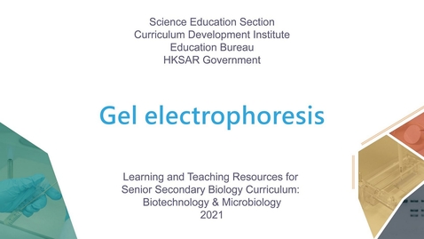 Thumbnail for Gel electrophoresis (English subtitles available)