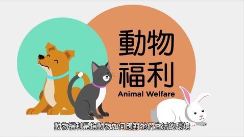 內容項目 動物福利知多啲 的縮圖