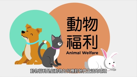 Thumbnail for 動物福利知多啲