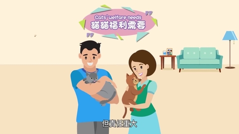 Thumbnail for 飼養貓隻指南