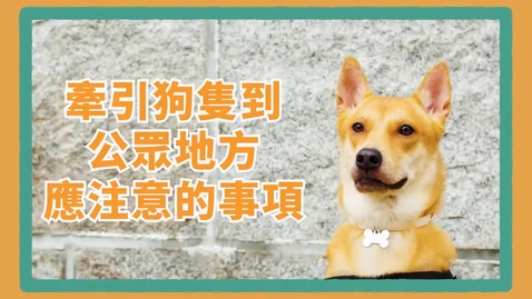 內容項目 狗狗行街(廣東話版) 的縮圖