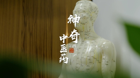 Thumbnail for 《通海夷道》第四集：神奇中醫藥