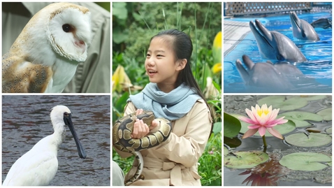 Thumbnail for 到公園去    