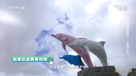 Thumbnail for 《跟着書本去旅行》｜欽州的白海豚──家園之戀