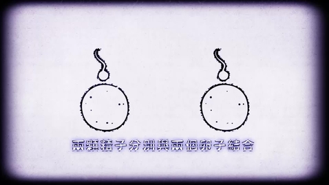 Thumbnail for 異卵三胞胎 