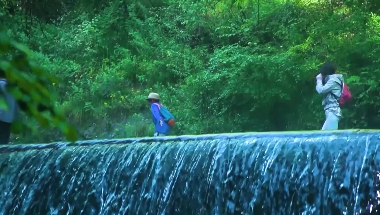 飲水思源 (中文字幕可供選擇)