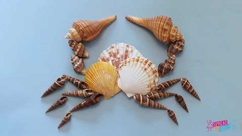 Thumbnail for Sea Shell Animals