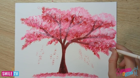 Thumbnail for entry Cherry Blossom Trees 
