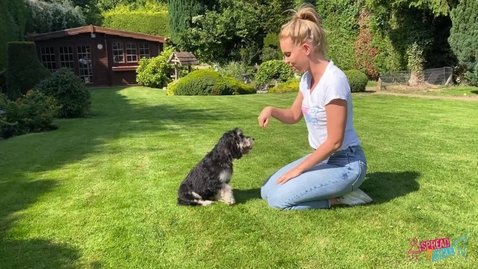 Thumbnail for Dog Training with Dani and Dodger
