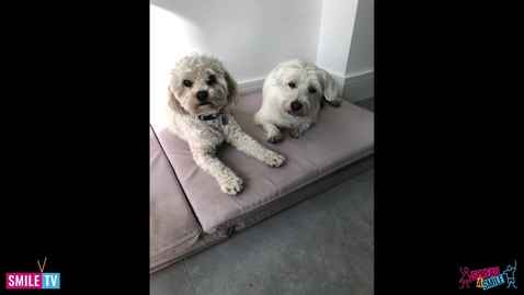 Thumbnail for Tilly &amp; Bamba Best Friends