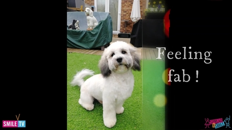 Thumbnail for Dexters Best Day Ever
