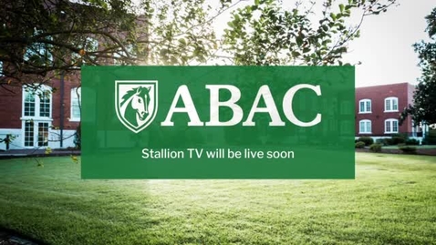 Thumbnail for Stallion TV  