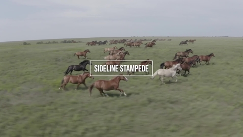 Thumbnail for Stallion  Sideline LiveStream 1