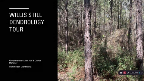 Thumbnail for Willis Still Dendrology Tour