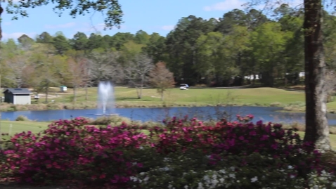 Thumbnail for Forest Lakes Commercial 