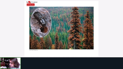 Thumbnail for Chapter 9 - Part 2 - Forests