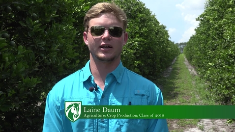 Thumbnail for entry Laine shares his internship with Florida citrus!