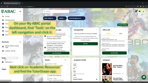 Thumbnail for TutorOcean Instructions