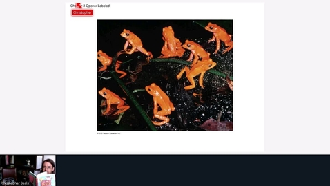 Thumbnail for Chapter 3 - Part 1 - Evolution, Biodiv, and Pop Ecology