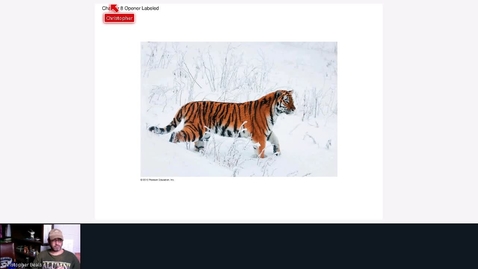 Thumbnail for Chapter 8 - Biodiversity