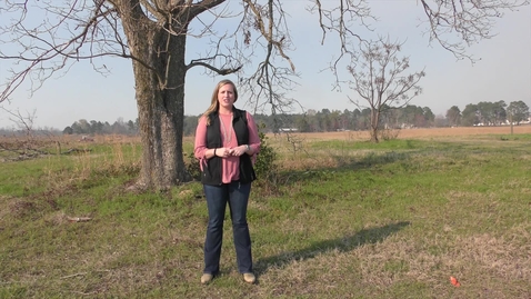 Thumbnail for Faces &amp; Places: Dr. Erin Porter