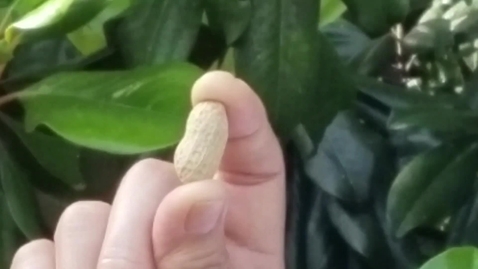 Thumbnail for Crop and Soil Science