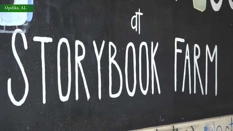 Thumbnail for Sarah takes us through her summer at Storybook Farm!