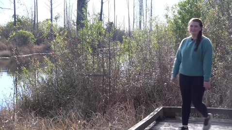 Thumbnail for Standup at Okefenokee