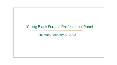 Thumbnail for IMPACT Young black female professional panel