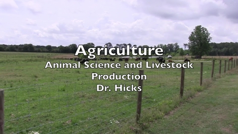 Thumbnail for Livestock
