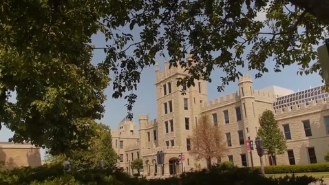 Thumbnail for Nonprofit and NGO Studies at NIU