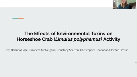 Thumbnail for entry The Effects of Environmental Toxins on Horseshoe Crab (Limulus polyphemus) Activity