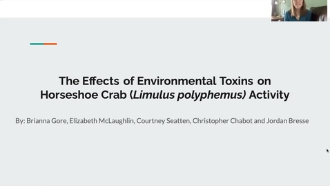 Thumbnail for The Effects of Environmental Toxins on Horseshoe Crab (Limulus polyphemus) Activity