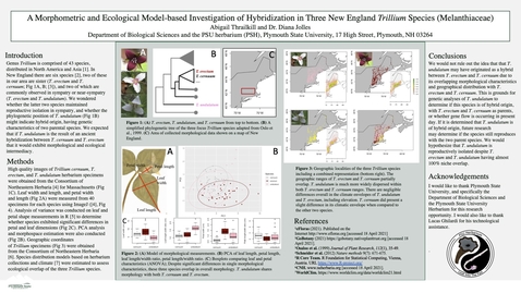 Thumbnail for A Morphometric and Ecological Model-based Investigation of Hybridization in Three New England Trillium Species (Melanthiaceae)