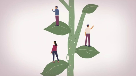 Thumbnail for The GROW Model