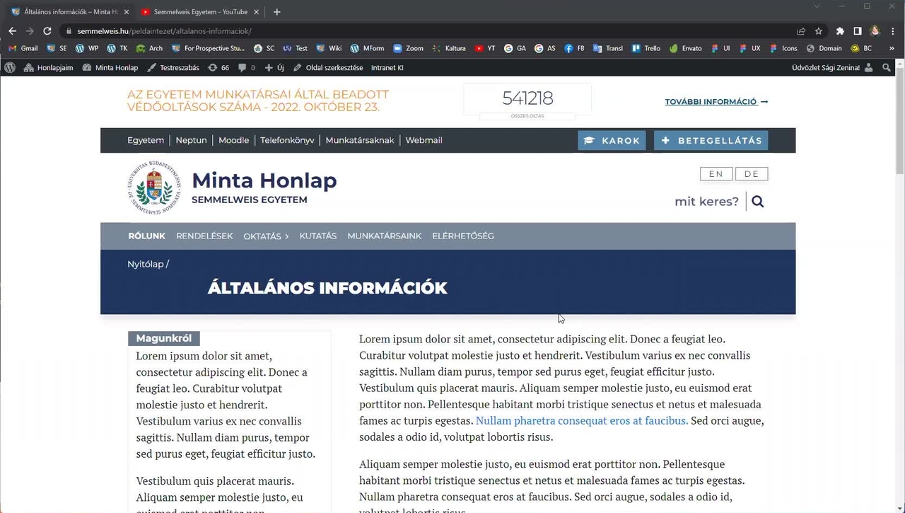 WordPress útmutató: YouTube videó beágyazása