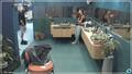 entertainment-the-big-brother-season-04-clips-2626-part-2207031717